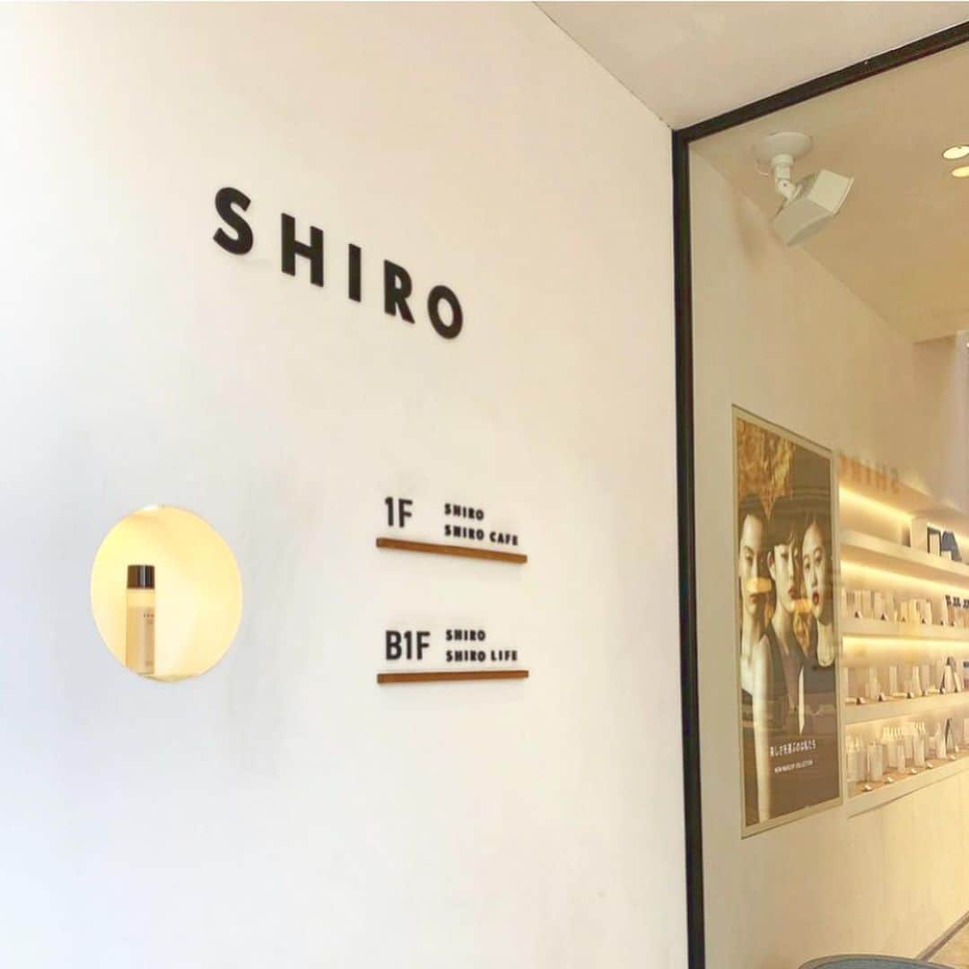 白瀬乃愛のインスタグラム：「・ ・ この前ひなちゃんまりあちゃんと行った #shirocafe よきでした〜🪴🪞   #自由が丘カフェ  #自由が丘ランチ  #shiro」