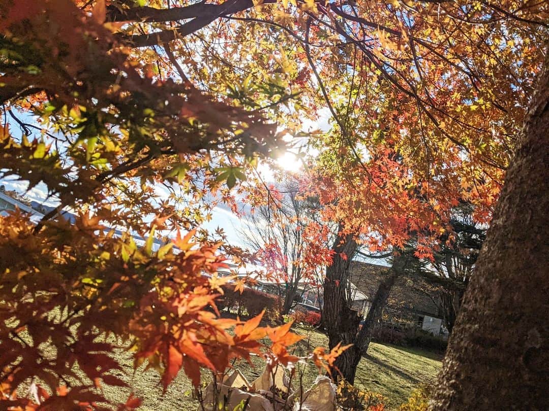 小野恵美のインスタグラム：「先日、弟の結婚式で軽井沢へ🍁 おめでとう✨🕊️ 　  雲ひとつない青空から、おじいちゃんとおばあちゃんも祝福していてくれていたと思います☺️ 母の実家が軽井沢でして、帰る前に家族みんなでお墓参りもしてきました。  紅葉が美しいベストタイミング。 宿泊は 星のや軽井沢にて…🤍 本当に素晴らしいおもてなしでした✨✨  #軽井沢 #結婚式 #軽井沢旅行 #星のや軽井沢 #星のや #karuizawa」