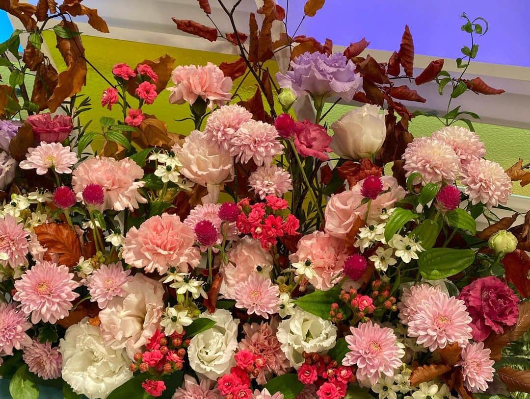 福岡放送「バリはやッ!」さんのインスタグラム写真 - (福岡放送「バリはやッ!」Instagram)「💐 #バリはや  #スタジオ装花  今週は華やかなピンクベースのお花に、紅葉が🍂  福岡の紅葉の名所も見頃を迎えていますね〜☺️✨  #スワイプしてね 📸👉🏻  11/15〜のお花💐 #ブナの葉 #カマツカ #トルコキキョウ #カーネーション #ピンポンマム  “カラフルな枝葉とお花で、深まる秋の季節を演出いたしました🍁"  #by #takeshithemangrove  THE MANGROVE  #秋コーデ  #冬コーデ #ゆうまり  #川崎優  #小林茉里奈 #工藤あき 先生 #花のある暮らし  #花が好きな人と繋がりたい  #花好き  #花は癒し  #フラワーアレンジメント  #装花  #福岡のお花屋さん  #福岡花屋  #紅葉 #秋の花」11月17日 9時14分 - barihaya