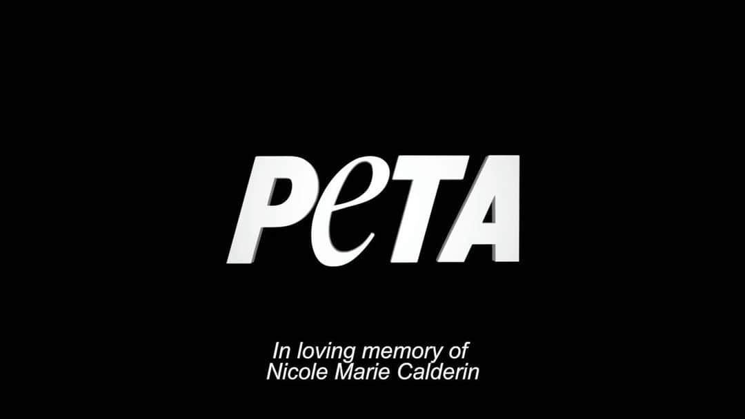 アナベル・アコスタのインスタグラム：「Been trying to post this campaign since yesterday. Couldn’t find the words. It was hard shooting this campaign & these videos without breaking down. I LOVE u Nicole. I will miss u the rest of my life. Thank u for inspiring me to be a better human. For continuing to educate me. U dedicated ur life to animals in every way. I hope this makes u proud. Thank u @peta & @officialpetalatino for allowing me to honor the memory of my cousin & at the same time raise my voice for these gentle defenseless creatures, the planet & talk about all the amazing benefits of leading a #veganlife ❤️🌱🐇」