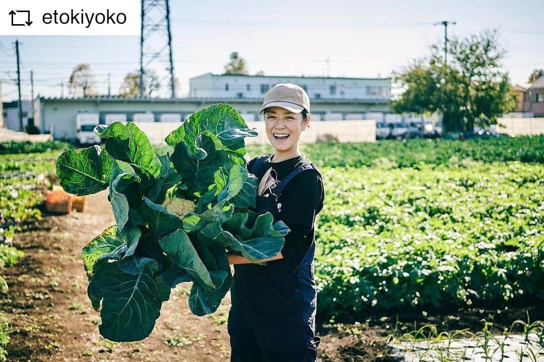 加藤紀子さんのインスタグラム写真 - (加藤紀子Instagram)「私の大好きを味わってもら えて、こちらこそありがとー！！  #REPOST @etokiyoko with @get__repost__app  畑くる？の集合に （そんな雑なお誘いではなかったけど笑） 初めてのりちゃんの畑「カトノリ農園」に行って参りました。@katonoriko  畑に着いていろいろのりちゃんに教えてもらいながら野菜を収穫、そしてその採れたての野菜を茹でたりしてそのまま畑でランチ。幸せとはこの事。 そして農家さんが毎日大変な作業をしているということを実感できたひとときでした（たった数時間で何がわかるんだーいて話ですが） いやあー本当に美味しかった！ みんなでワイワイ言いながら、そして最後は芋掘りまでして（幼稚園ぶり）ほくほく。 のりちゃんの師匠にもご挨拶出来て、いろいろお世話になりました！！また近いうちお伺いしたいっす。 のりこーありがとう！ そしてごちそうさまでした！！ #加藤紀子 #カトノリ農園 #畑 #repostios #repostw10」11月17日 9時02分 - katonoriko