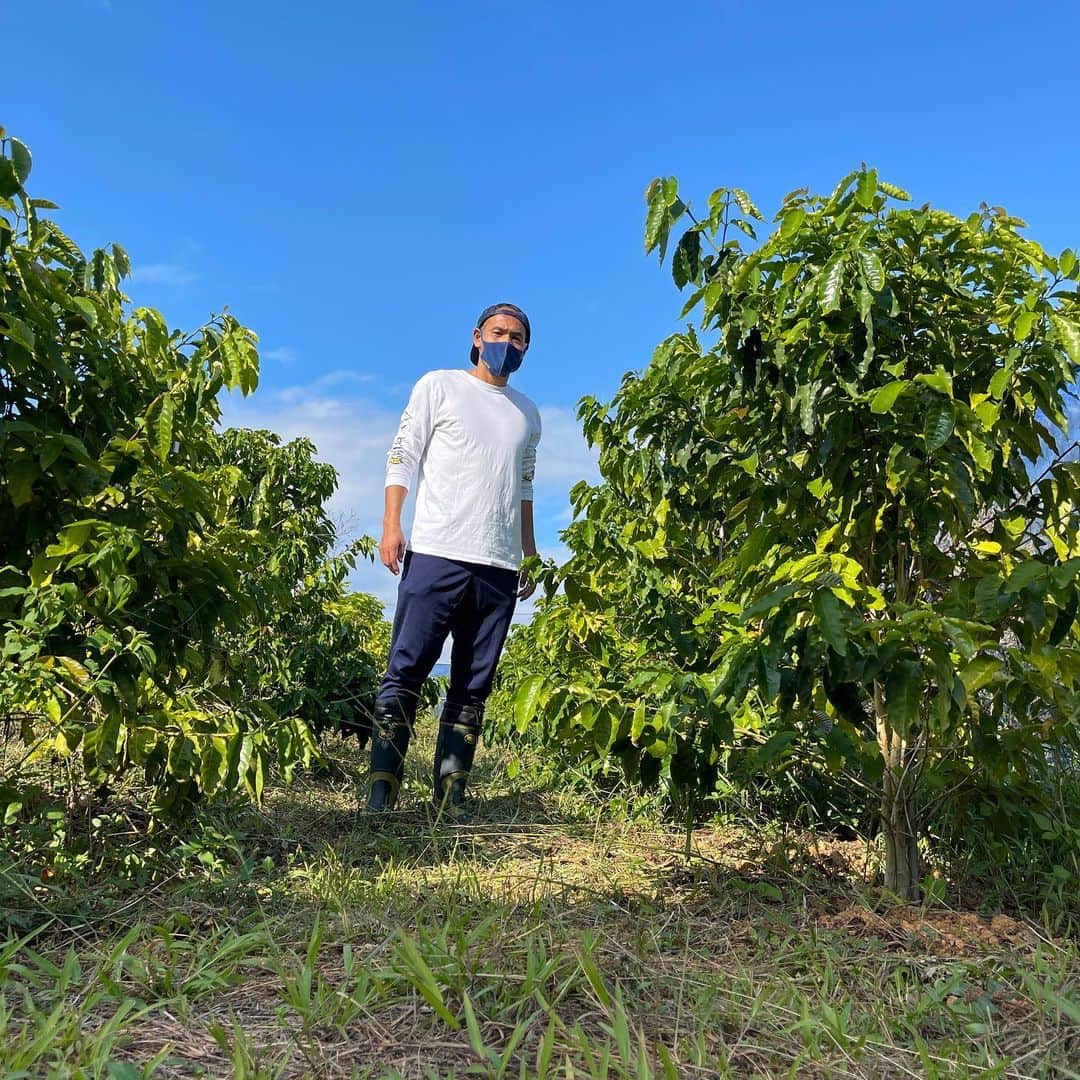 高原直泰さんのインスタグラム写真 - (高原直泰Instagram)「コーヒー畑チェック。 育てるにあたって課題も出てきたので対策していきます。 沖縄SVアグリを設立した事をきっかけに、今まで以上に農業に取り組んでいきます。 #沖縄コーヒープロジェクト  #ネスカフェプラン #沖縄svアグリ株式会社」11月17日 19時45分 - takahara.osv