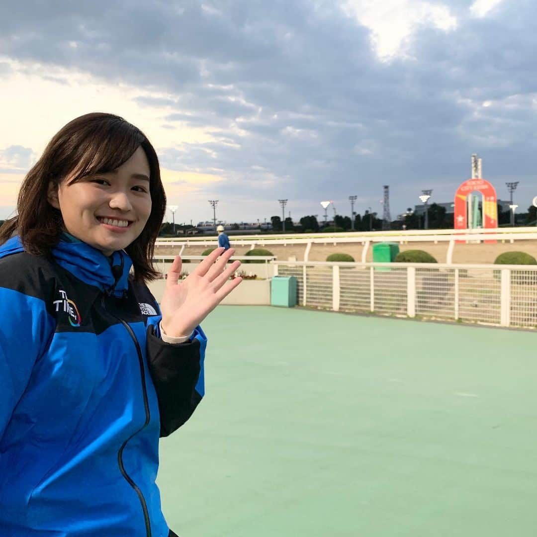 篠原梨菜さんのインスタグラム写真 - (篠原梨菜Instagram)「早朝の競馬場が美しすぎる🌄 今朝は大井競馬場から中継でした！ なんと午前2時(！)から調教が行われているんです！ 色とりどりのメンコをつけた馬たちもいてかわいさに癒されつつ...ダートを駆ける足音が朝の冷たく静かな空気に響いて、心動かされました💘  今晩は重賞レース　#ハイセイコー記念 が開催！ ヘニーヒューズ産駒で道営組のフォラステロが気になっています。年末のレース観に行きたいな...🐴　  さらにタイムリーな話題、大井競馬場初の左回りレースが金曜日に実施されます！  左回り・右回り両方のレースが行われる世界唯一の競馬場となるそうで...コースの出入り口の位置など、色々と調整が必要だったそうです🐎　コースの切り替えの様子も見てみたい！！  #thetime_tbs #大井競馬場  #競馬 #トゥインクルレース  #南関東地方競馬  #うまTIME #tbs #tbsアナウンサー  #篠原梨菜」11月17日 17時15分 - shinorinatbs