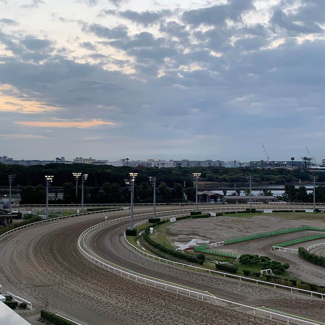 のインスタグラム：「早朝の競馬場が美しすぎる🌄 今朝は大井競馬場から中継でした！ なんと午前2時(！)から調教が行われているんです！ 色とりどりのメンコをつけた馬たちもいてかわいさに癒されつつ...ダートを駆ける足音が朝の冷たく静かな空気に響いて、心動かされました💘  今晩は重賞レース　#ハイセイコー記念 が開催！ ヘニーヒューズ産駒で道営組のフォラステロが気になっています。年末のレース観に行きたいな...🐴　  さらにタイムリーな話題、大井競馬場初の左回りレースが金曜日に実施されます！  左回り・右回り両方のレースが行われる世界唯一の競馬場となるそうで...コースの出入り口の位置など、色々と調整が必要だったそうです🐎　コースの切り替えの様子も見てみたい！！  #thetime_tbs #大井競馬場  #競馬 #トゥインクルレース  #南関東地方競馬  #うまTIME #tbs #tbsアナウンサー  #篠原梨菜」