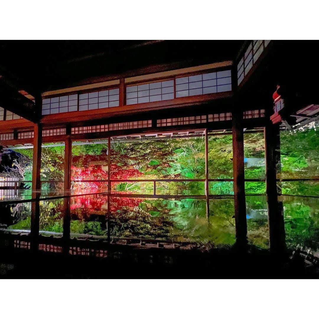 石井美保さんのインスタグラム写真 - (石井美保Instagram)「ちょっぴり紅葉を観に足をのばしました🍁」11月17日 22時05分 - miho_ishii
