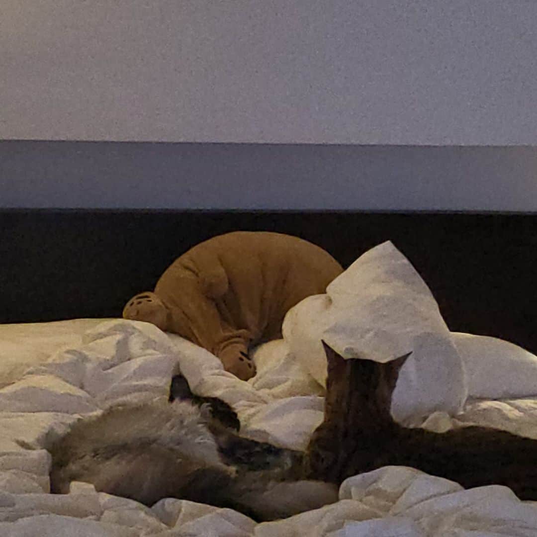 ジュノ のインスタグラム：「수능 편안하게 보자❤ 힘내라 힘! 수험생분들 화이팅!!」