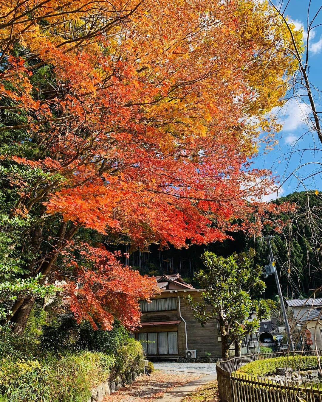 愛川みれいさんのインスタグラム写真 - (愛川みれいInstagram)「2021.11.5(金)  巳の日🐍&新月🌑に 前から行きたかった天河大弁財天に 行ってきました🌈⛩✨  とにかくお天気が良くて☀️ 空気も神聖で景色も綺麗で 凄く清らかな気持ちになりました✨  行けてよかった🥺❤️💓 連れて行ってくれた叔母にも感謝🙏💕  綺麗な景色とパワーをみんなにも お裾分けします💋✨  #奈良#天河弁財天#天河大弁財天社  #神社#神社参拝#巳の日#新月#晴天 #虹#蝶々#猫#パワー#パワースポット #奈良観光#感謝#愛川みれい」11月17日 23時36分 - mirei.aikawa