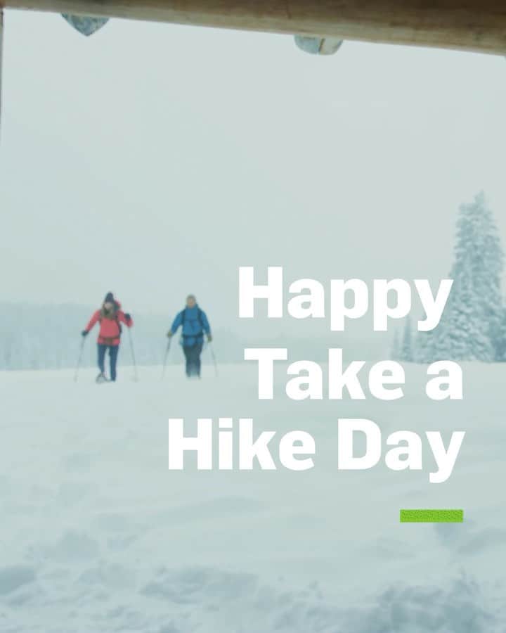 オボズのインスタグラム：「Whether it’s a summit push or a simple walk in the woods, the trail awaits!  Happy #TakeAHikeDay 🥾   Share your trails with us today by tagging @obozfootwear.   #truetothetrail」