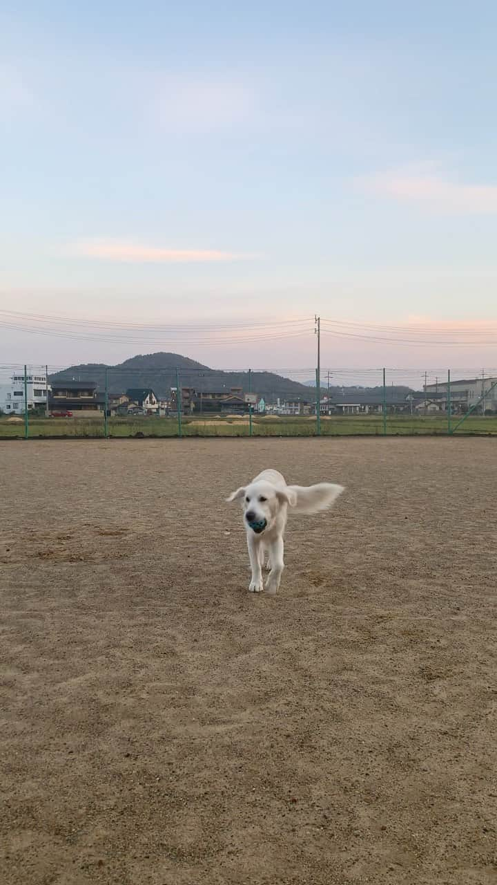 P太郎ママのインスタグラム