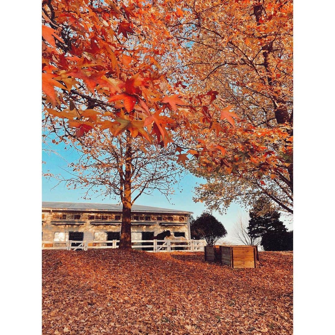 紗栄子のグルメインスタ