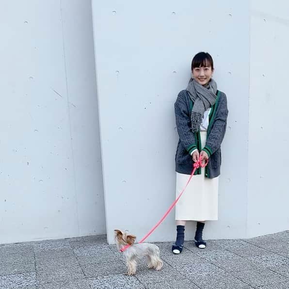 島本真衣さんのインスタグラム写真 - (島本真衣Instagram)「昨日祖母とAngeとお散歩した時の写真です🍂  #犬 #いぬすたぐらむ  #ヨークシャテリア #アンジュ #6歳 #撮影 #祖母 #ありがとう #島本真衣 #私服 #撮影の時だけマスクを外しました」11月18日 12時53分 - mai_shimamoto_ex