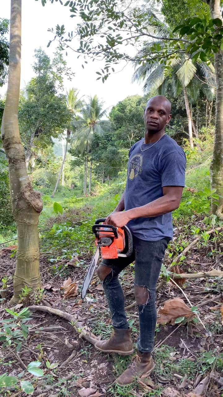 アサファ・パウエルのインスタグラム：「ASAWFA @mulberryvalleyja and yes we planting back a lot of trees to all tree police 😒」