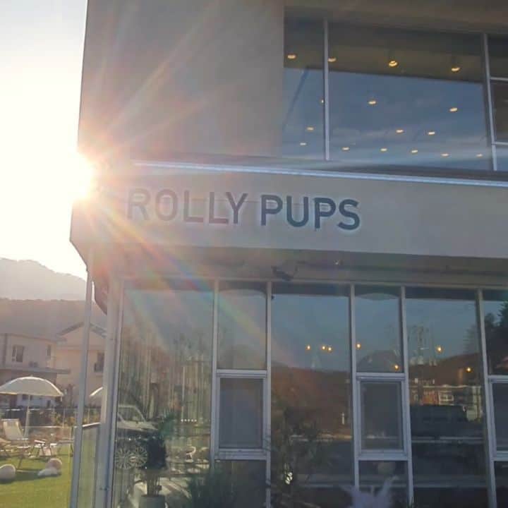 Rolly Pups INCのインスタグラム：「WELCOME TO ROLLY 😊  @rollyteacuppuppies  @rollypups.official」