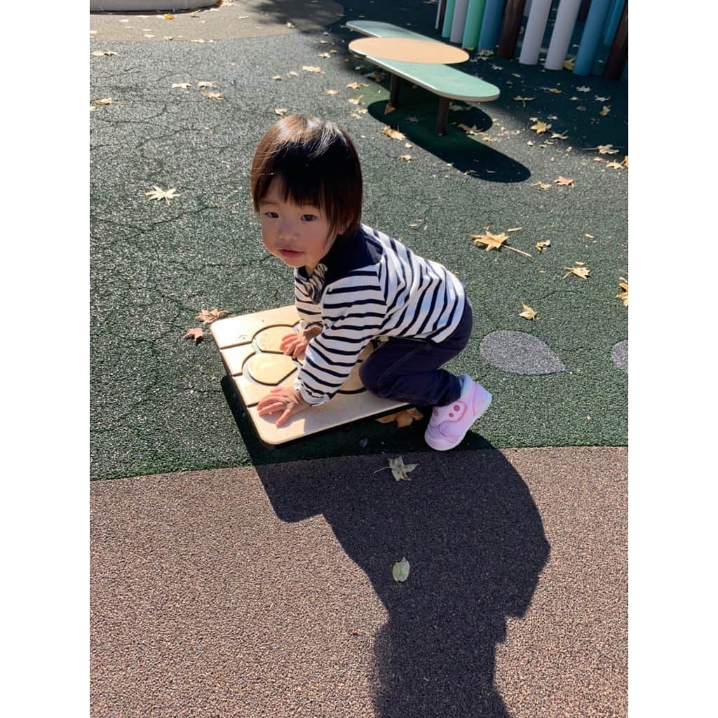 山田真以さんのインスタグラム写真 - (山田真以Instagram)「いつかの#鈴鹿サーキット 🏎🎡✨ 久しぶりに行ったら小さい子が乗れる乗り物がたくさんあるし、待ち時間も遊べるエリアがあるし、地元に住んでいたら年パス欲しい🥺💕と思うほど楽しめる場所でした♡  GTやフォーミュラ、F1のお仕事をさせてもらったのが懐かしい☺️🏎 いつか娘と一緒にモータースポーツ観戦も行きたいなぁ🥰 #中学高校のマラソン大会は鈴鹿サーキットの国際レーシングコースでした🏎 #レーシングコースを走れるなんてすごい経験だけれど走るには勾配があるしめちゃくちゃしんどい #あのマラソン大会は苦行だった😂 #f1や8耐の時期は街中がお祭りのような雰囲気で好きだったな #中学高校のスクールバスが大渋滞で始業に間に合わないからその時期のスクールバスは遅刻できるから好きだった #そんな学生時代の思い出🎀 #三重県#遊園地#子連れ#女の子ママ#1y6m」11月18日 15時16分 - maaai.yamada