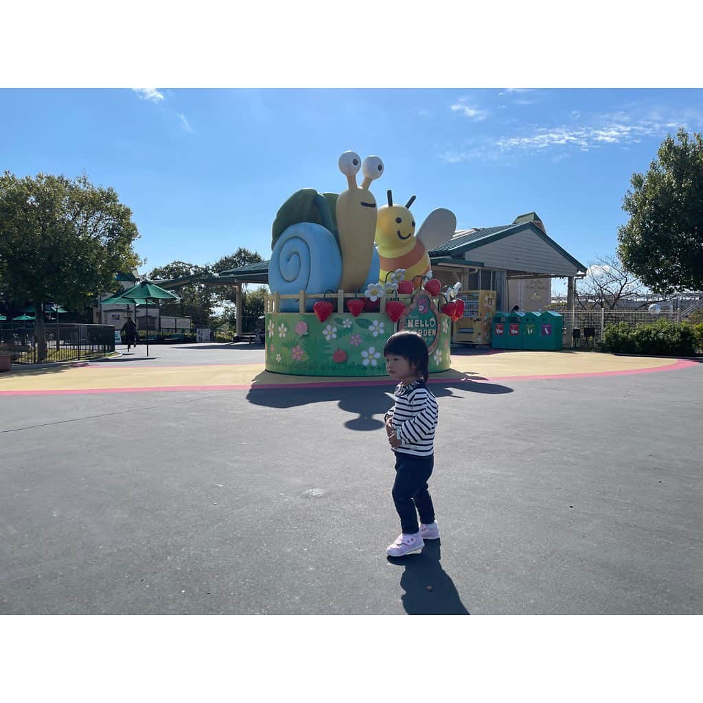 山田真以さんのインスタグラム写真 - (山田真以Instagram)「いつかの#鈴鹿サーキット 🏎🎡✨ 久しぶりに行ったら小さい子が乗れる乗り物がたくさんあるし、待ち時間も遊べるエリアがあるし、地元に住んでいたら年パス欲しい🥺💕と思うほど楽しめる場所でした♡  GTやフォーミュラ、F1のお仕事をさせてもらったのが懐かしい☺️🏎 いつか娘と一緒にモータースポーツ観戦も行きたいなぁ🥰 #中学高校のマラソン大会は鈴鹿サーキットの国際レーシングコースでした🏎 #レーシングコースを走れるなんてすごい経験だけれど走るには勾配があるしめちゃくちゃしんどい #あのマラソン大会は苦行だった😂 #f1や8耐の時期は街中がお祭りのような雰囲気で好きだったな #中学高校のスクールバスが大渋滞で始業に間に合わないからその時期のスクールバスは遅刻できるから好きだった #そんな学生時代の思い出🎀 #三重県#遊園地#子連れ#女の子ママ#1y6m」11月18日 15時16分 - maaai.yamada