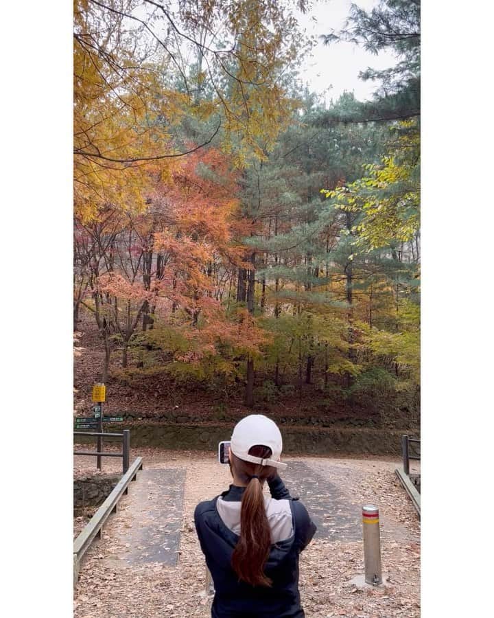シン・セギョンのインスタグラム：「🍁🍂🍂🍁」