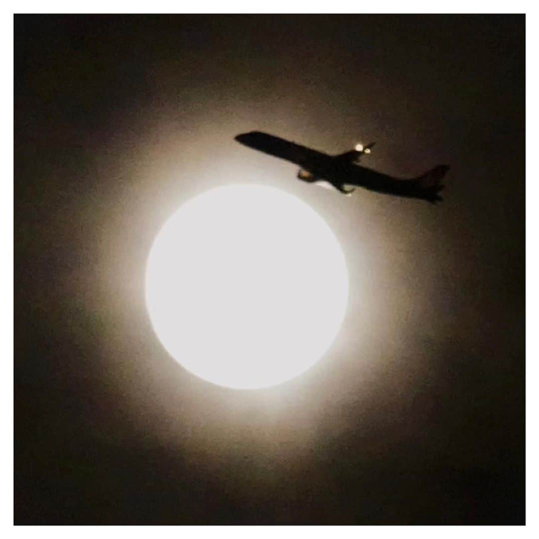 さだまさしさんのインスタグラム写真 - (さだまさしInstagram)「フライング満月🌕✈️ 明日は満月しかも月蝕 今夜は飛行機もフライング . #ほぼ満月 #フライング満月  #月 #飛行機 #さだまさし #sadamasashi」11月18日 20時01分 - sada_masashi