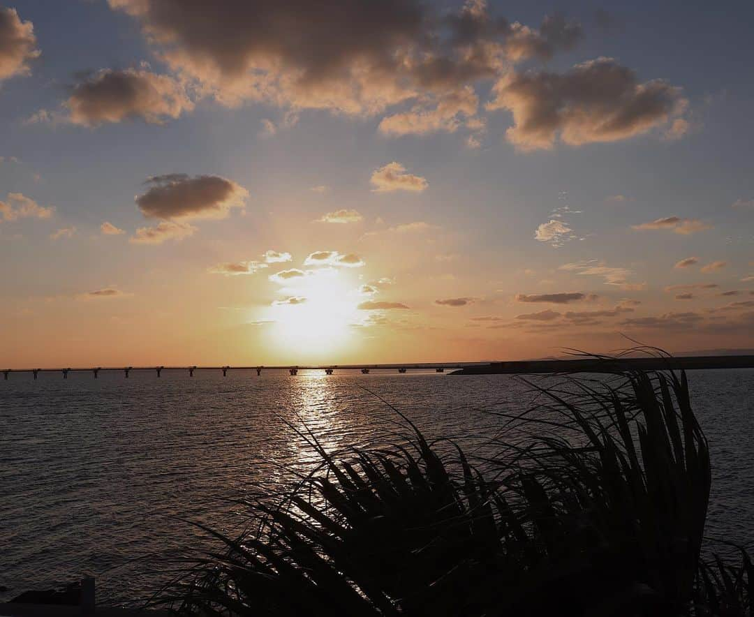 小原優花さんのインスタグラム写真 - (小原優花Instagram)「沖縄ラスト投稿は夕暮れのウミカジテラス♡ チーズハットク初めて食べました🥺🧀❤️  移動距離が長かったのでれみちゃんといっぱいドライブして楽しかったな🚘👭💕  6枚目の古宇利島から海をみてるれみちゃんお気に入り📷🥰🥰💓  最後の動画は沖縄本島と古宇利島を結ぶ橋です🏖✨  ゆっくり幸せなれみちゃんお誕生日旅行でした👩‍❤️‍👩🌴  #れみゆん #沖縄 #ウミカジテラス #古宇利島」11月18日 19時56分 - yunkoro519