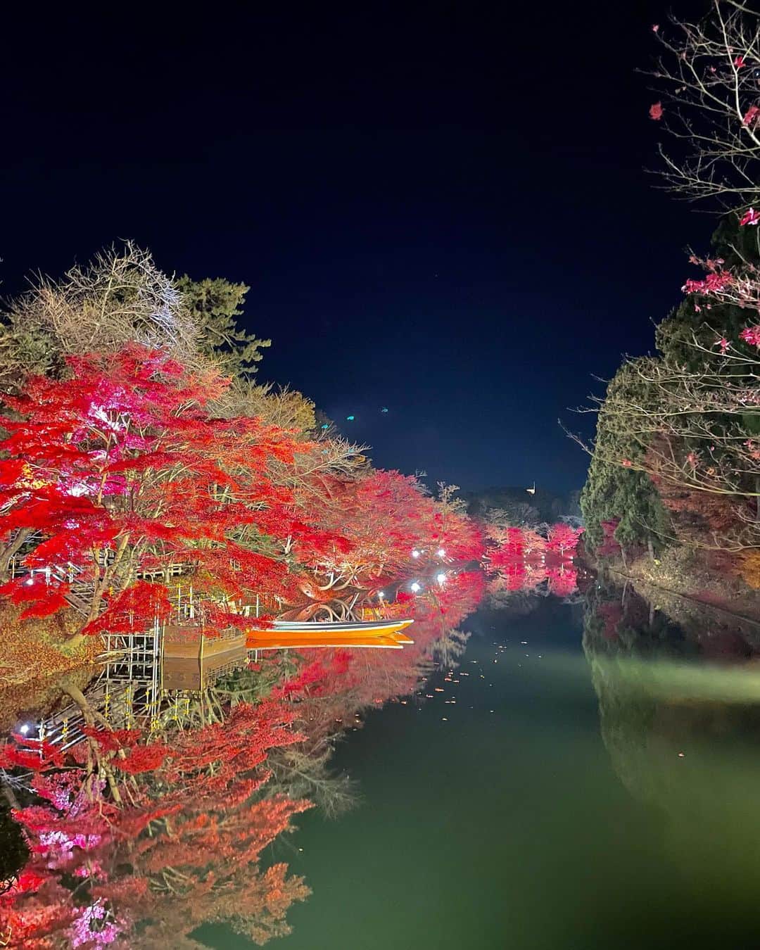 王林さんのインスタグラム写真 - (王林Instagram)「🍁💫  今月の始まりくらいの時に１０分だけ時間取れて「弘前城菊と紅葉まつり」に駆け込んできたんだ😳 春には綺麗な桜を咲かせてくれる木々達がすっかり色づいて秋の顔を魅せてくれてました☺︎ 昼もいいけど夜のライトアップがすきですねぇ  そうなんです、今年はもう終わりました 今日久しぶりに弘前にいて、前を通ったらすっかり枯れていて、まつりが終わったというこのタイミングでの投稿になったことに自分でも驚いています☺️ ぜひ来年来てください🤤  #青森 #弘前 #東北 #弘前公園 #弘前城 #青森観光 #菊と紅葉まつり #紅葉 #秋 #autumn #桜 #aomori #hirosaki」11月18日 21時25分 - ourin_ringoooo