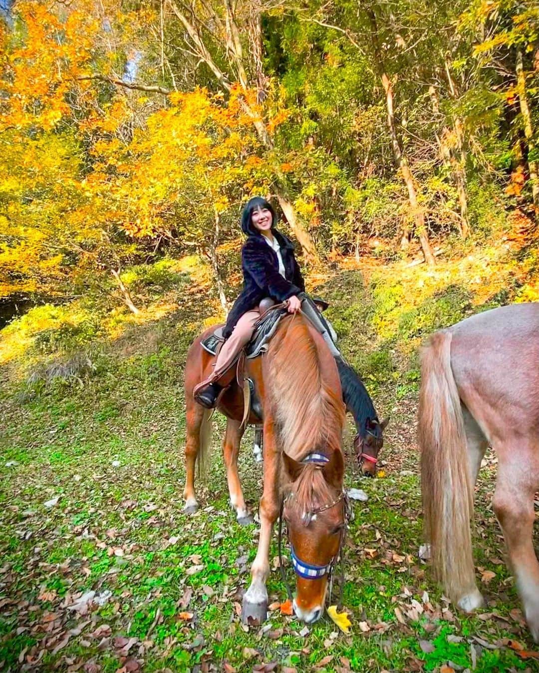いけながあいみさんのインスタグラム写真 - (いけながあいみInstagram)「お馬さんに乗って紅葉狩りしてきました🍁🐴✨  めっちゃリフレッシュできた♡  *  I enjoyed the red leaves and horse riding 🍁🐴✨  #乗馬女子　#horseriding #redleaves #紅葉　#紅葉狩り　#乗馬　#秩父」11月18日 22時03分 - aimicat424