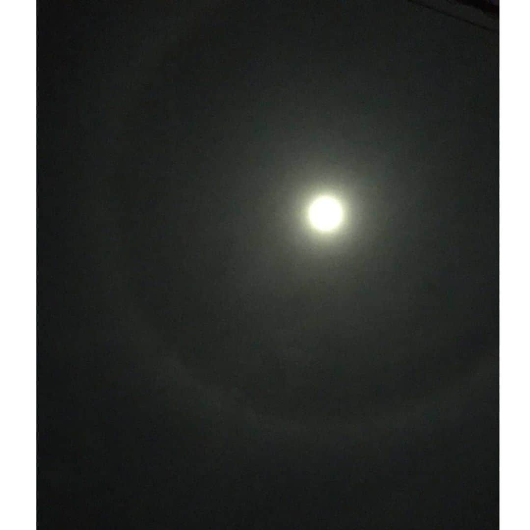 財前直見さんのインスタグラム写真 - (財前直見Instagram)「🍙 月暈（げつうん、つきがさ） 昨日の月 写真ではわかりにくいけど、月の周りに光の輪⭕️がわかりますか？ 幸運が訪れる前兆とか？ ありがたやー🙏 🍙 #月暈 #げつうん #つきがさ #月に光の輪 #幸せの前兆？ #財前直見 #🍙」11月18日 22時23分 - naomi_zaizen_official