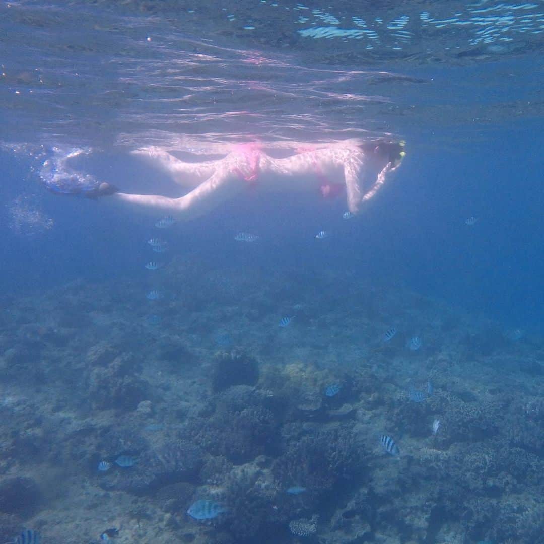 喜多川あゆさんのインスタグラム写真 - (喜多川あゆInstagram)「Under the sea🐳 もはやダイビングになったシュノーケリング🤿👙🐠🐚🏝 小学校の6年間シンクロナイズドスイミングを習ってたのが活きてます🐬💕 潜るの大好き！！！ #ダイビング #ダイビング女子  #シュノーケリング #素潜り #素潜り女子 #瀬底島 #リゾート #女子旅  #水着 #沖縄 #underthesea #🧜🏻‍♀️ #撮りためてた写真放出」11月19日 9時25分 - ayuchi_0927