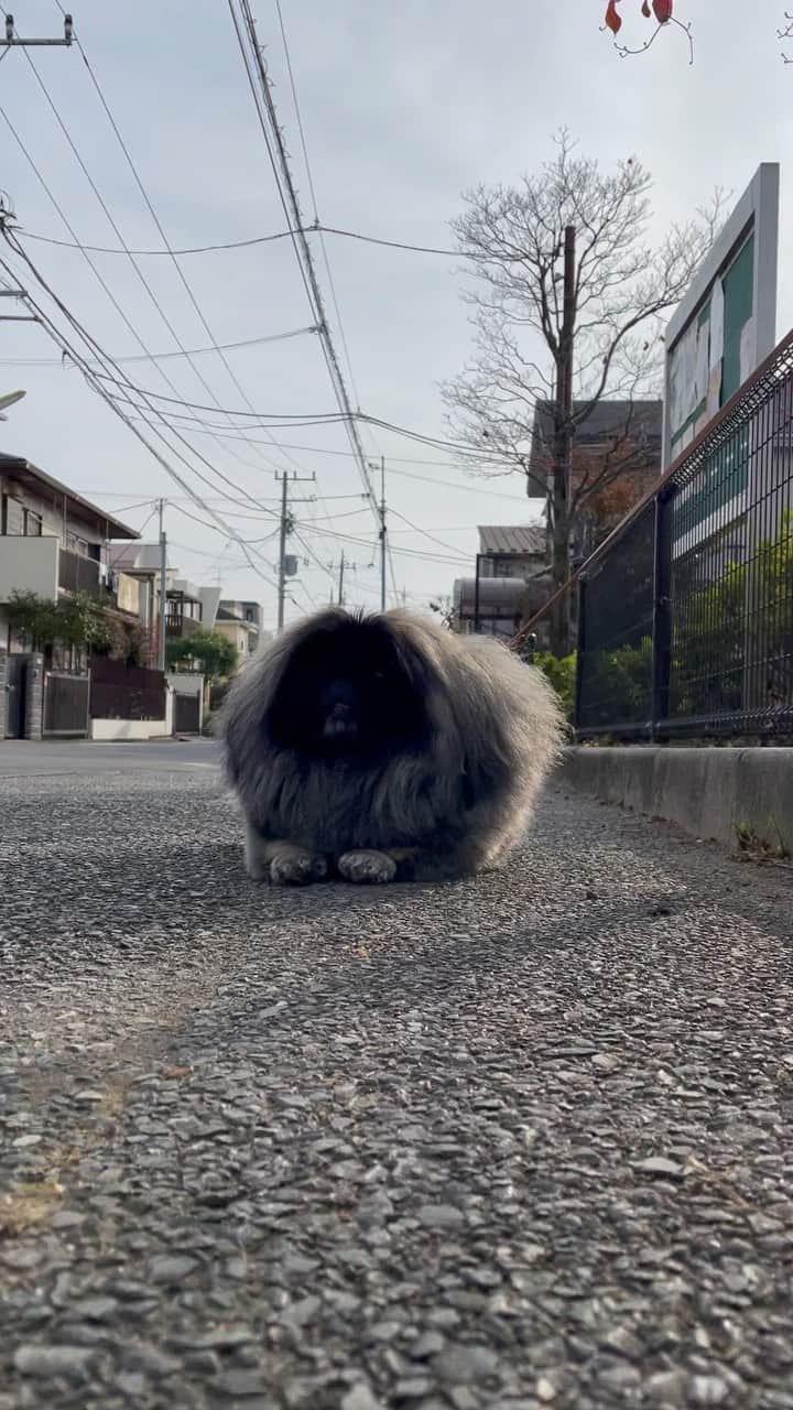 宮田和弥のインスタグラム