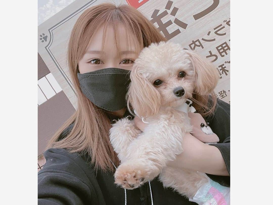 七瀬美月さんのインスタグラム写真 - (七瀬美月Instagram)「久々の愛犬ヴィレッジ💛 屋上のドッグランからの2階のカフェ🐶𖠚ᐝ💓 お友達のまると🥳💓  . わんちゃんたくさん居て癒された💛🥳  #ドッグラン#ドッグカフェ #大久保#dogrun#dogcafe #愛犬ヴィレッジ#東新宿 #チワワ#チワプー#マルプー」11月19日 2時56分 - yskwask1114