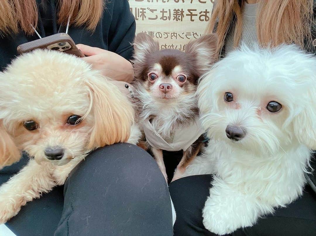 七瀬美月のグルメインスタ