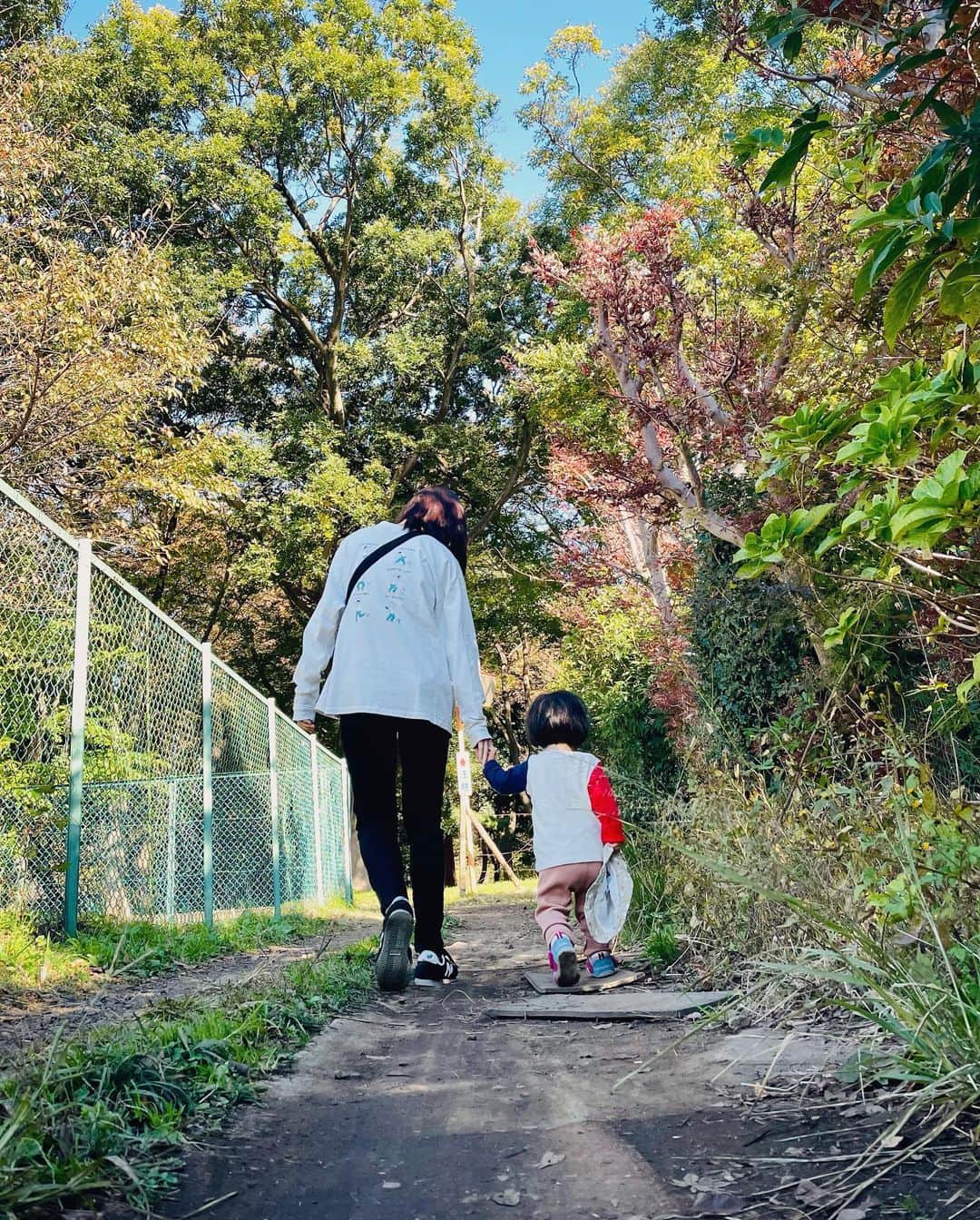 クレヨンだいちゃんのインスタグラム：「🍂🍂🍂 ㅤㅤㅤㅤㅤㅤㅤㅤㅤㅤㅤㅤㅤ 妻と娘の後ろ姿みてて ㅤㅤㅤㅤㅤㅤㅤㅤㅤ 娘が歩けるようになって こんな写真撮れることに感動。 ㅤㅤㅤㅤㅤㅤㅤㅤㅤㅤㅤㅤㅤ 歩き方もリンクしてて可愛いな。 ㅤㅤㅤㅤㅤㅤㅤㅤㅤㅤㅤㅤㅤ ㅤㅤㅤㅤㅤㅤㅤㅤㅤㅤㅤㅤㅤ #家族写真 #子どものいる暮らし  #お散歩」