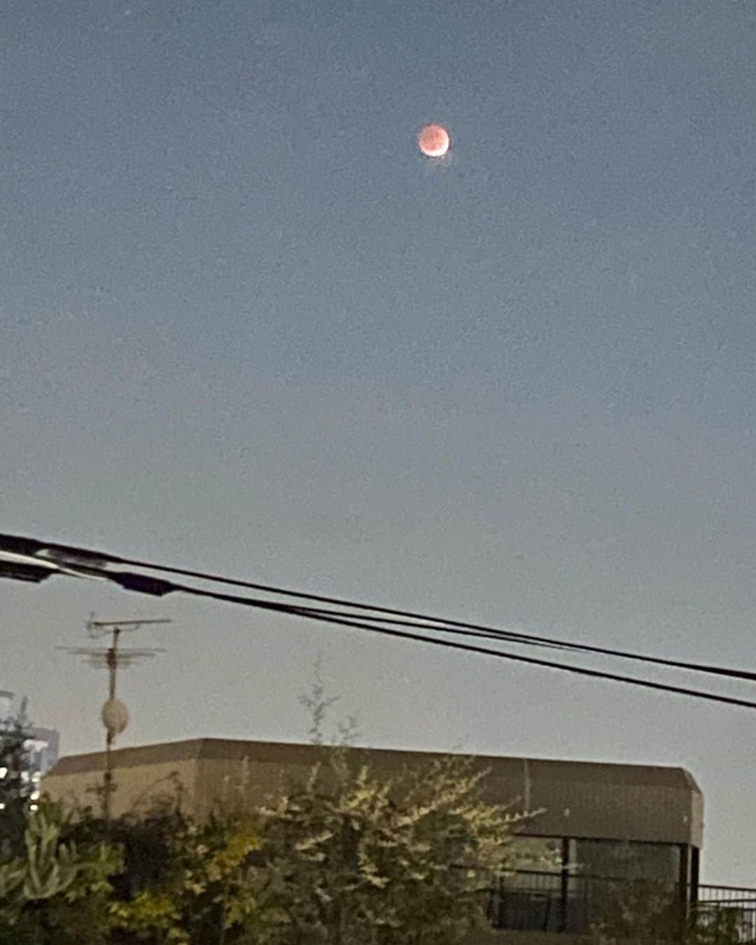 堤信子さんのインスタグラム写真 - (堤信子Instagram)「ベランダから、月食見えました！」11月19日 17時56分 - nobnob1111