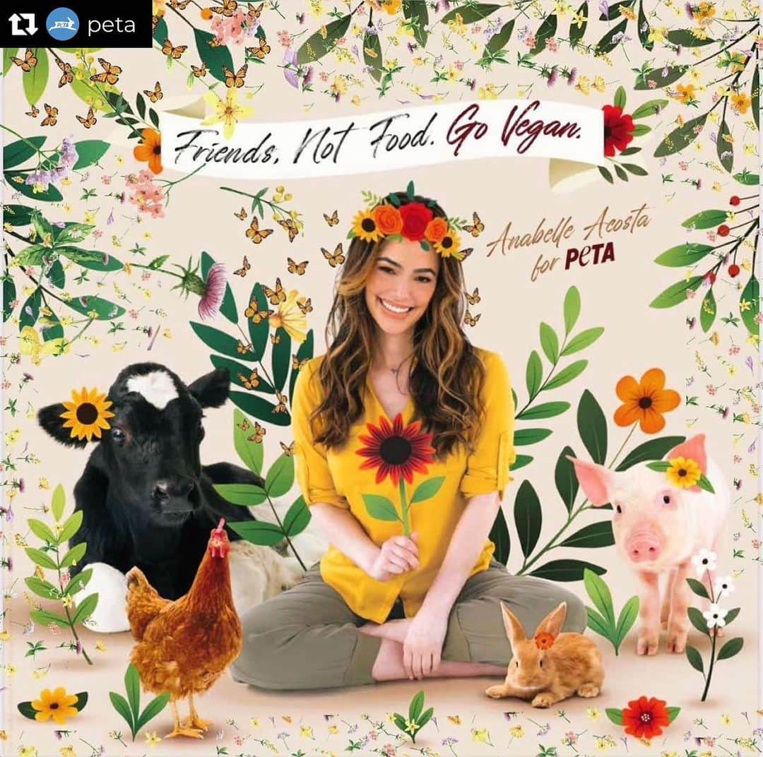 アナベル・アコスタさんのインスタグラム写真 - (アナベル・アコスタInstagram)「My first @peta campaign! 🥳 thank u to my dear friends @chriscrutch & @sweedishlove for introducing me to this amazing #veganlife couple years back. It’s been quite a journey. This shoot was an unforgettable experience. Huge thanks to the creative team that made this all happen 👏🌱❤️.   Repost from @peta • Compassion is in full bloom all year-round for @anabelleacosta1 🌼  The Subject actor knows that being vegan is the most powerful way to show  kindness to animals every day, especially on #ThanksVegan 💕 Leave a 🌼 if you know animals are friends, not food.」11月19日 10時27分 - anabelleacosta1