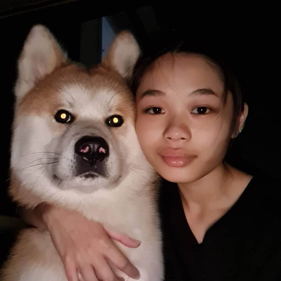 INA. CH KAITO VON JAH SUEDEのインスタグラム：「Selfie time with @jenny7er_12   . . . . . . . . . . . . #akita#akitafeatures#akita_feature#japaneseakita#dog_features#Hatchiko#love#animal#petoftheday#akitaofinstagram#pet#animal#秋田犬#犬#秋田#日本の秋田#日本犬 #大型犬 #日本語 #子犬 #可愛い #doglover#ワンコ大好き倶楽部公式 #photooftheday#akitagram#instapet#dogstagram#dog#puppy#INSTAKITA」