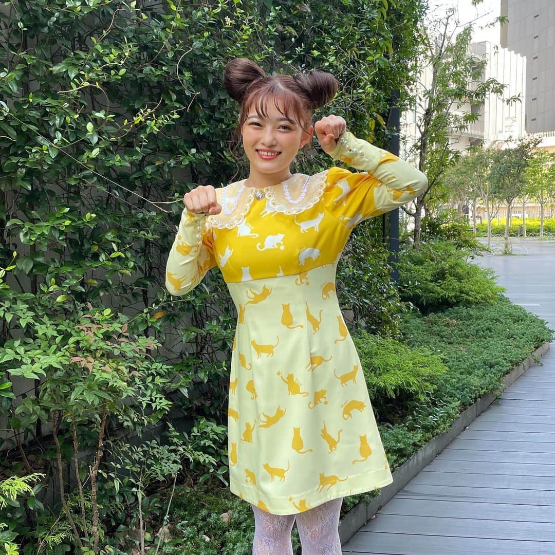 のインスタグラム：「. 11月5日放送のナスD大冒険TVの衣装です！ ねこちゃん柄の衣装なので猫っぽい耳と猫っぽいポーずしてみました👶🏻🐱 onepiece @klosetdesign  earrings @mex_handmade  ring @nuen.ma」