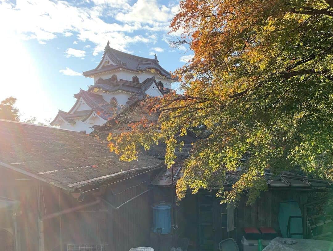 忍成修吾さんのインスタグラム写真 - (忍成修吾Instagram)「先日お仕事で彦根にお邪魔して来ました。空き時間に彦根城や近江ちゃんぽんも楽しめました。」11月19日 15時06分 - shugo_oshinari