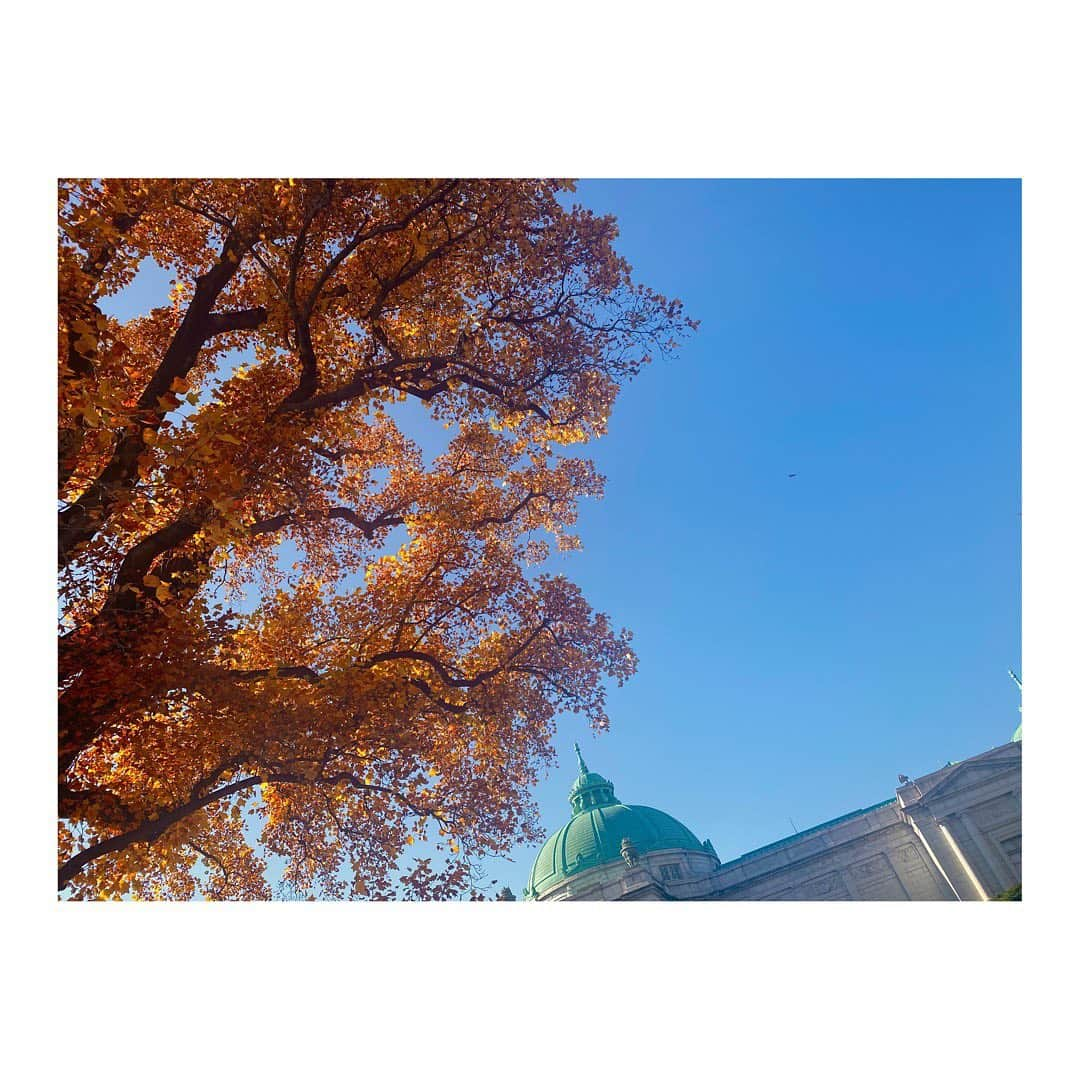 秋元真夏さんのインスタグラム写真 - (秋元真夏Instagram)「.  青空と紅葉🍁  スケジュールも 年末らしくなってきました〜  明日・明後日は東京ドームライブ わー、どきどき！たのしみ！」11月19日 16時11分 - manatsu.akimoto_official