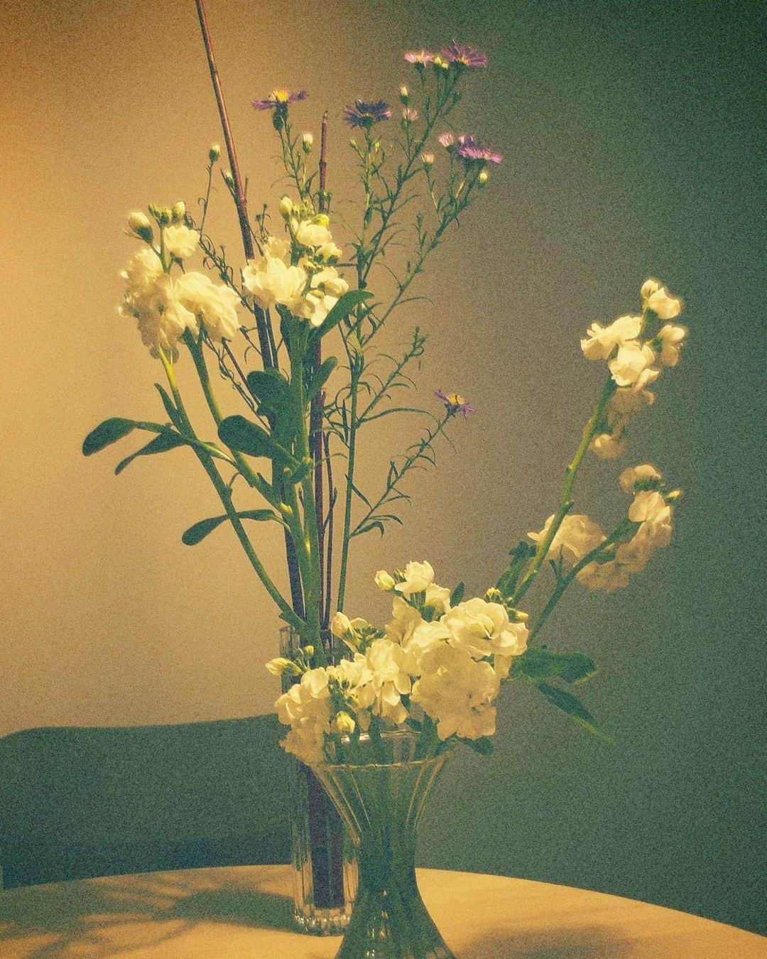 真奈さんのインスタグラム写真 - (真奈Instagram)「つきなちゃんが 生けてくれたよ♡︎  お花はいいよなぁ〜  #生花　#華道 💐」11月19日 19時13分 - manatmnt0116