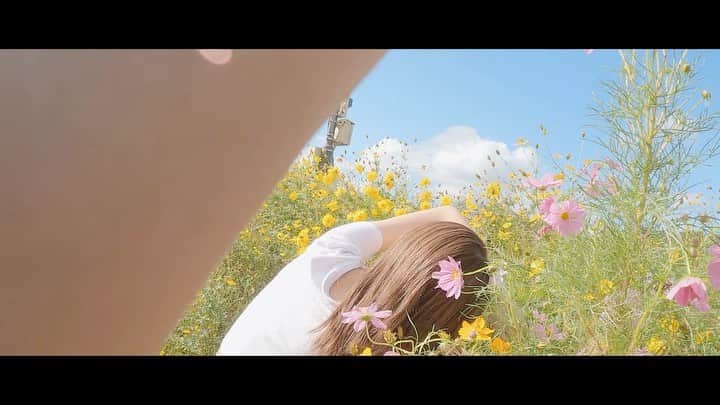Hikaru Nakamuraのインスタグラム：「Youtube更新しました▶️ 100円で買ったフィルムカメラ📸企画  チャンネル名:ひかるーく  #フィルムカメラ#フィルム#konica#konica現場監督#コニカ#kodak#fujifilm#ポートレート#モデル撮影#コスモス#自然#撮影#vintagecamera#filmcamera」