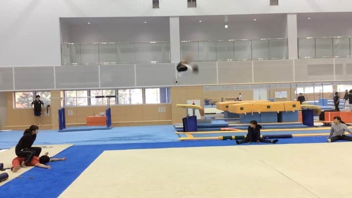 谷川航のインスタグラム：「懐かしい動画出てきた🤸‍♂️  試合で使えたら何難度かな？🤭  #gymnastics #🤸‍♂️ #体操 #acrobatic #谷川航 #体操競技#gymnasticsvideos」
