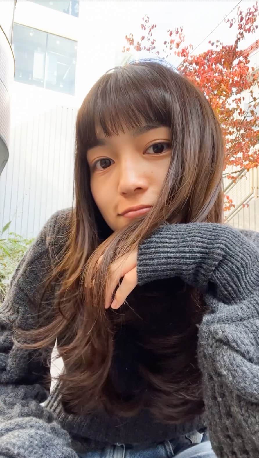 青木大輔のインスタグラム：「春奈ちゃんの服が めちゃカッコ良かったんで 全身でリール撮らせてもらったよ！ デニムのダメージの入り方が 最高だし ブーツも👍🏽👍🏽👍🏽 グレーのザックリニットとかも 自分的に好物なので コーディネートにやられました〜 … ファッションの秋ーっ‼️🍂🍁 … 髪は前髪整えて Manamiサンのゴリゴリのヘッドスパとトリートメントです！ 整ってました〜🔥 … … #川口春奈 #girl  #cute #beauty #fashion #hair #bangs #tiechel #tiechelstyle #daisukeaoki #アオキカット #青木ダイスケ」