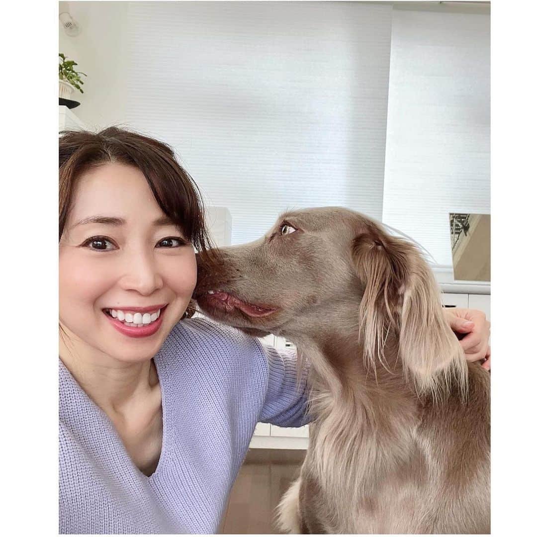 中野公美子さんのインスタグラム写真 - (中野公美子Instagram)「先日、宮前真樹ちゃんのお宅へ❣️ まきちゃんが美味しい手料理を 振る舞ってくれました💖 もう全てがレストランみたいにお洒落なの💛 たこ焼きまでもオシャンだわ✨ 美味しくてお洒落で最高なんですけど😆 そして、集まったメンバーが全員元アイドル‼️笑 当時は、仕事現場でお会いしてもお話する機会がなかったけど、 今こうして一緒に楽しい時間を過ごせて嬉しい〜💕 そして、まきちゃんの旦那様の#萩庭桂太 さんの知識が豊富で、 ハギペディアとなっておりました！笑 楽しくてあっという間でした😊 エルマーも相変わらず可愛いかった💕  #宮前真樹　ちゃん #松野有里巳　ちゃん #木原さとみ　さん #笹峰愛　ちゃん #中野公美子 #coco #ribbon #東京パフォーマンスドール #大阪パフォーマンスドール #凄い贅沢な会じゃない？！ #アイドルオンステージ　出来るよ？！笑 #元アイドル #元アイドル会 #ワイマラナー　 #ほっかむり」11月19日 21時20分 - kumikorion