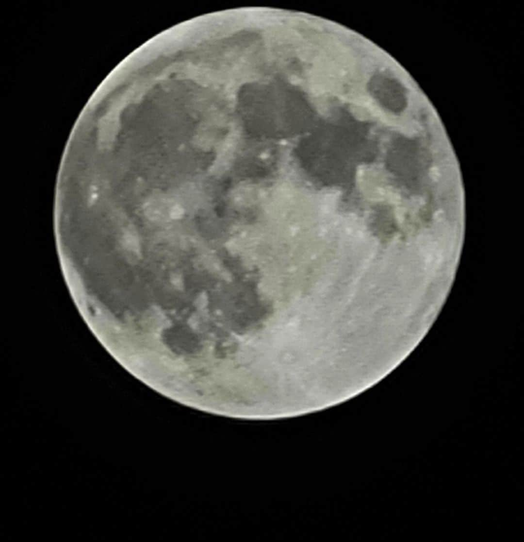 森友里恵さんのインスタグラム写真 - (森友里恵Instagram)「Full moon🌕 11月の満月はビーバームーンっていうみたい☺️ 89年ぶりに深い部分月食が満月と同時に見られる日が今日だったみたいで、次同じ条件で見れるのは65年後みたい🥺👏🏻✨  #fullmoon #1119」11月19日 23時13分 - yucrebie