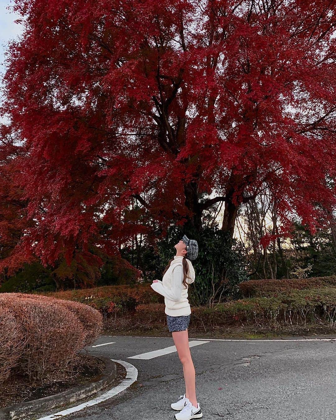 山崎みどりさんのインスタグラム写真 - (山崎みどりInstagram)「ゴルフ場の紅葉🍁が 真っ赤で綺麗だった♥️  のを 投稿し忘れてた..🍂  しばらく見惚れてました♡ ────────────────────────── #紅葉#紅葉🍁 #🍁」11月20日 11時58分 - midori_yamasaki_