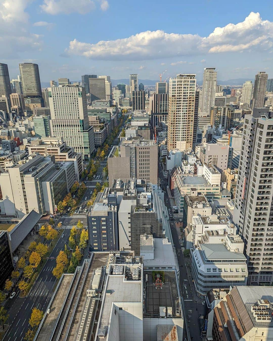 石井里奈さんのインスタグラム写真 - (石井里奈Instagram)「こんにちは☀️ 今朝は大阪編✨ 憧れの @stregisosaka へ🎄✨ . お部屋からの景色が絶景！とっても綺麗なの☺️仕事であんまり滞在できなかったけどモーニングもできて大満足💛✨エッグベネディクトおいしかった〜🤤💕 . 今回の出張では新しい @les_secrets_by_laduree_narue のルームウェアを持って行ったよ🧡 . 猫のプリントが可愛くて裾のフリルもラデュレらしい💗お部屋でとことん甘いコーデも可愛いよね🐈 またラデュレからエプロンも出てるんだけどこれがまた可愛くて💛このルームウェアとの相性も抜群❣️ おうちではこのコーデでお料理したいと思います😘✨ . 今日は久々のゆっくりデー✨ 衣替えしないとなぁ！ . 皆さんも素敵な一日を♪ . #セントレジス大阪 #ラデュレ #laduree #ladurée #ladureeparis #paris #osaka #stregis #大阪 #大阪ホテル #心斎橋 #部屋着 #ルームウェア #🐈 #猫 #猫好き #猫のいる暮らし #cat #猫グッズ #エプロン #エプロンワンピース #エプロン女子 #モーニング #朝食 #marriottbonvoy #amex #spgアメックス #お料理 #リラックス #おうち時間」11月20日 12時15分 - ri7tin1025