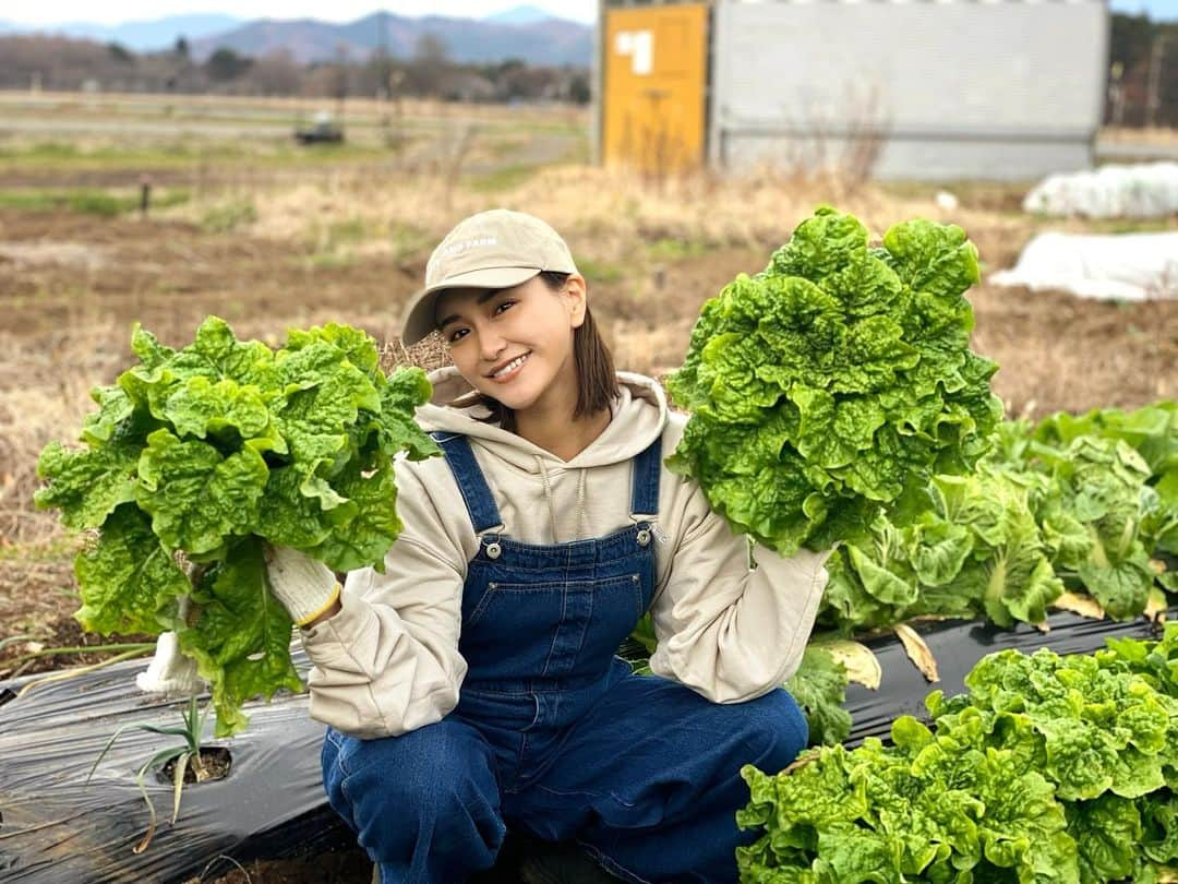 カナさんのインスタグラム写真 - (カナInstagram)「秋の収穫🍁☀️ 葉物、全部ちゃんと育ってくれてました🥬 白菜、サンチュ、にんにく、チンゲンサイ…🧄🎶 秋も無事に、収穫完了です👏🏻✨ 無農薬で育った採れたて野菜は シャキシャキでおいしいよ〜😆🤍 とってすぐ食べるのが大好き〜😋 収穫後また土を耕してまっさらに戻して、 畑はまた来年ね👍🏻🌈　@coffeeandfarm 👩🏻‍🌾  農家の人になるの？とか色々と質問をいただくのだけど、 畑は趣味で仲間たちと楽しくやってるよ😊  これからも色々と趣味の延長で楽しいことをしていけたらいいなと思ってるよ😌 来年いろいろしたいなあ🎶なにがあるかなあ？🥰 ． #農業　#coffeeandfarm」11月20日 12時23分 - _kana627_