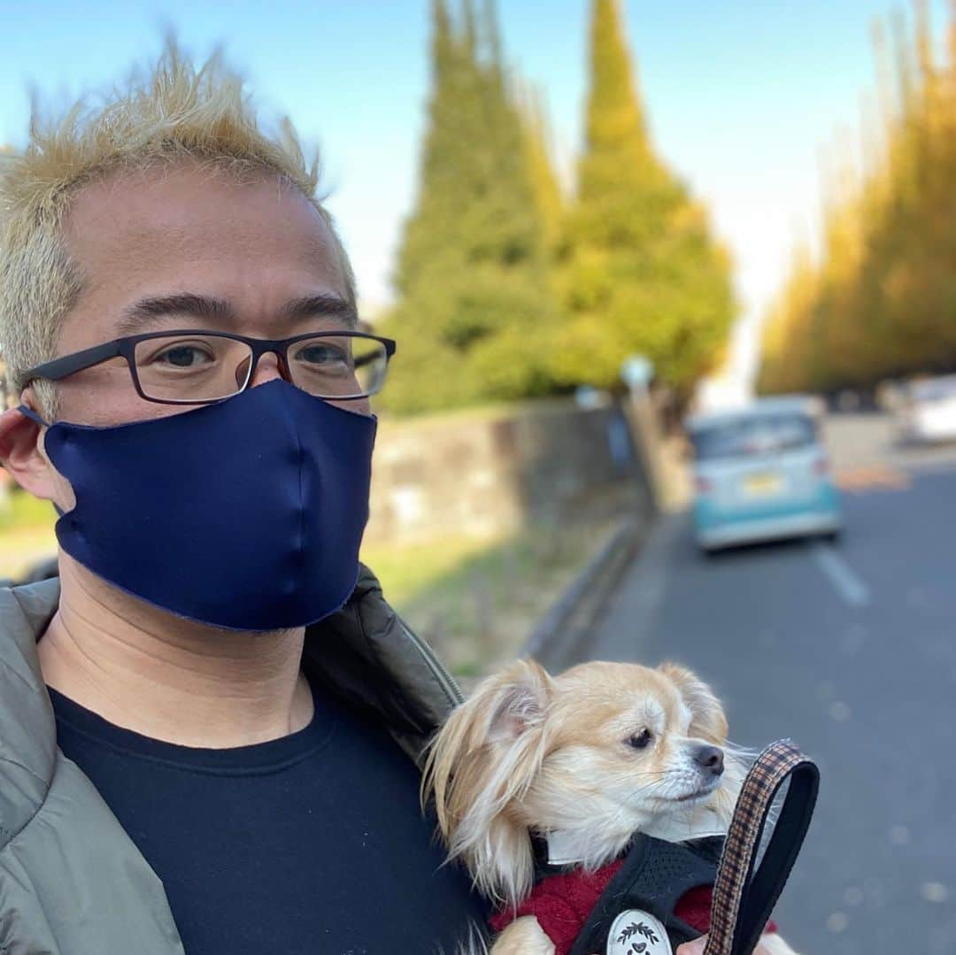 田端信太郎のインスタグラム：「犬の散歩に来ました！ 生命のパワーを感じる」