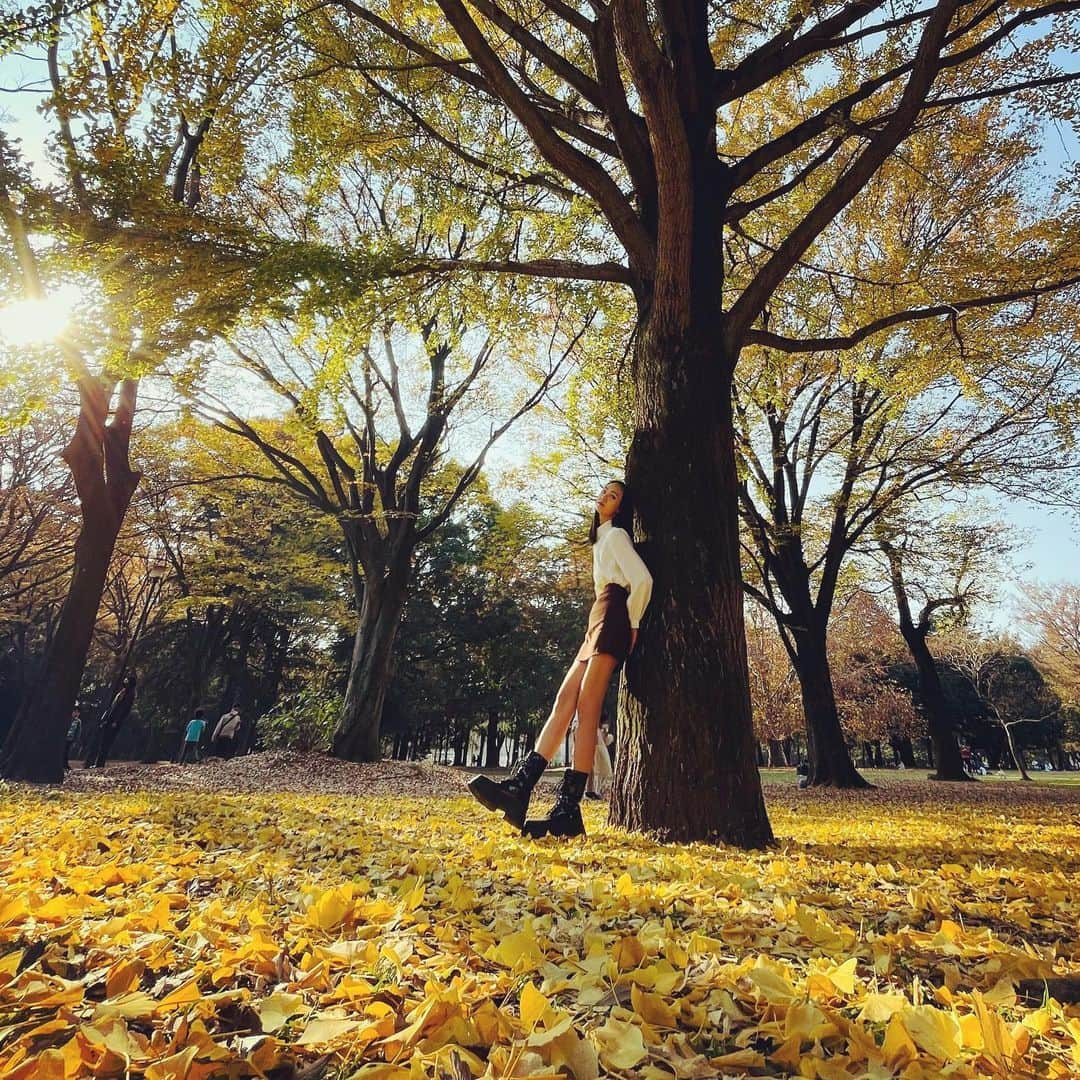 道江幸子さんのインスタグラム写真 - (道江幸子Instagram)「紅葉が綺麗✨✨ ⁡ ⁡ ⁡ ⁡ ⁡ ⁡ ⁡ ⁡ ⁡ ⁡ ⁡ ⁡ ⁡ ⁡ #砧公園 #紅葉 #紅葉スポット #紅葉ポトレ #いちょう #綺麗 #公園フォト #ポートレート #ファインダー越しの私の世界 #自然が好き #写真好き #portrait #japanesegirl #美脚 #全身コーデ #model #陽射し #木漏れ日 #ブーツ #ブーツコーデ #ミニスカート #ミニスカ #タイトスカート」11月20日 21時38分 - sachiko_michie