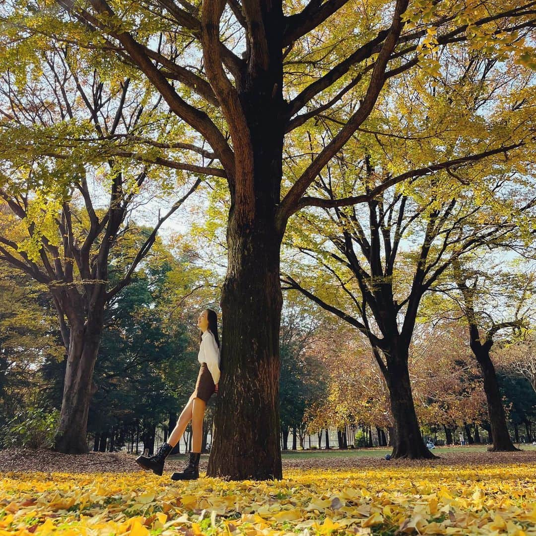 道江幸子さんのインスタグラム写真 - (道江幸子Instagram)「紅葉が綺麗✨✨ ⁡ ⁡ ⁡ ⁡ ⁡ ⁡ ⁡ ⁡ ⁡ ⁡ ⁡ ⁡ ⁡ ⁡ #砧公園 #紅葉 #紅葉スポット #紅葉ポトレ #いちょう #綺麗 #公園フォト #ポートレート #ファインダー越しの私の世界 #自然が好き #写真好き #portrait #japanesegirl #美脚 #全身コーデ #model #陽射し #木漏れ日 #ブーツ #ブーツコーデ #ミニスカート #ミニスカ #タイトスカート」11月20日 21時38分 - sachiko_michie