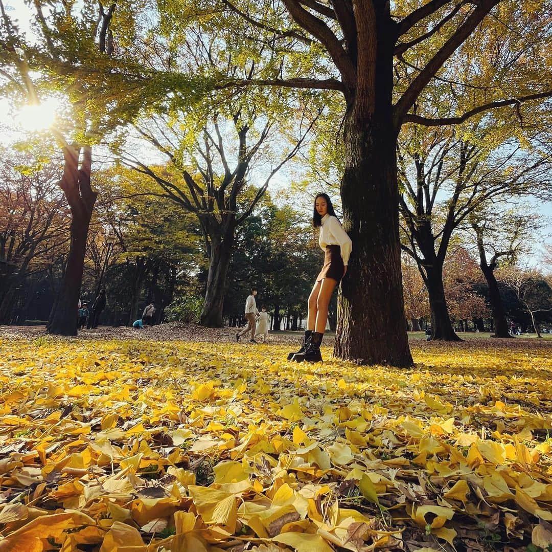 道江幸子さんのインスタグラム写真 - (道江幸子Instagram)「紅葉が綺麗✨✨ ⁡ ⁡ ⁡ ⁡ ⁡ ⁡ ⁡ ⁡ ⁡ ⁡ ⁡ ⁡ ⁡ ⁡ #砧公園 #紅葉 #紅葉スポット #紅葉ポトレ #いちょう #綺麗 #公園フォト #ポートレート #ファインダー越しの私の世界 #自然が好き #写真好き #portrait #japanesegirl #美脚 #全身コーデ #model #陽射し #木漏れ日 #ブーツ #ブーツコーデ #ミニスカート #ミニスカ #タイトスカート」11月20日 21時38分 - sachiko_michie