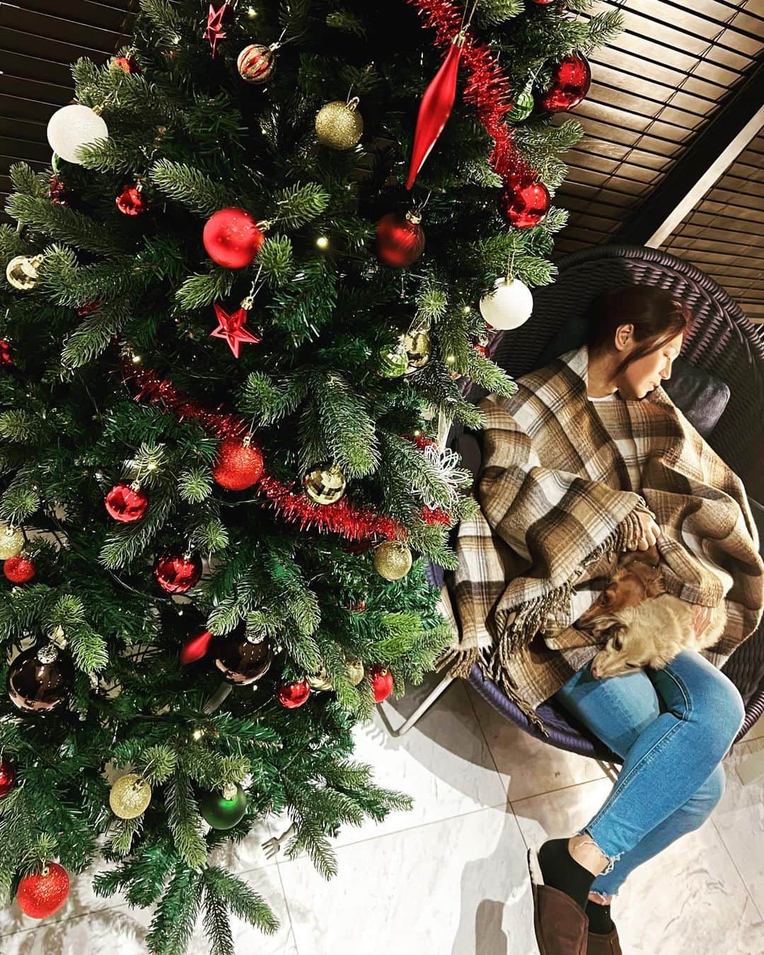 氷川きよしさんのインスタグラム写真 - (氷川きよしInstagram)「Christmas tree and our children. 🎄  by kiina  #氷川きよし #hikawakiyoshi #christmastree #kii #kiina #kiinatural #キヨラー」11月20日 13時46分 - hikawa_kiyoshi_official